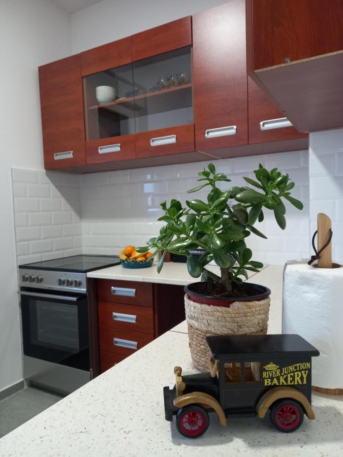 Avenija Oaza Apartment โนวีซาด ภายนอก รูปภาพ